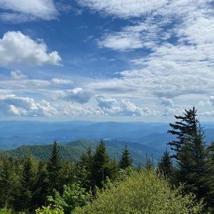 Meet your Posher, Frank